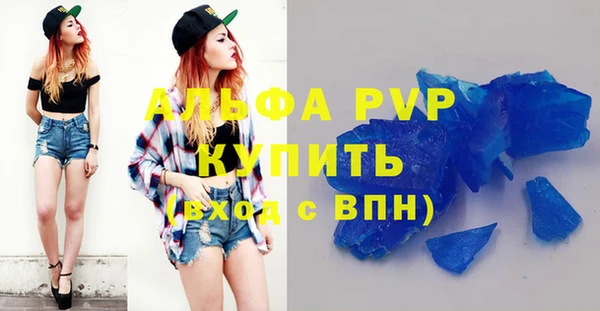 тгк Каменка