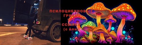 соль курить ск Каменногорск