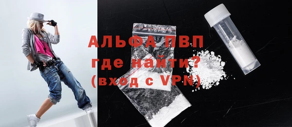 тгк Каменка