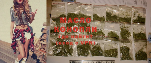 тгк Каменка