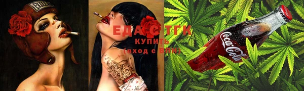 тгк Каменка