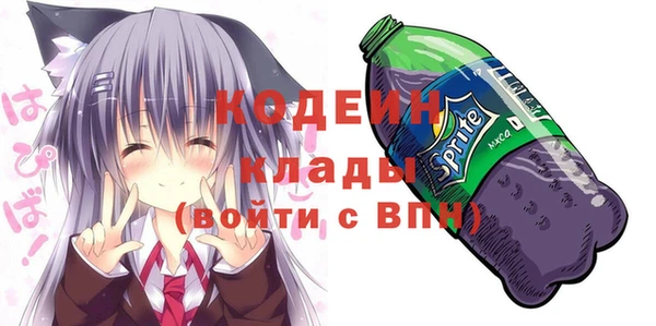 тгк Каменка