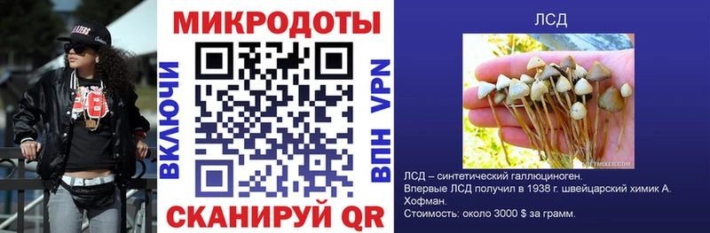 Псилоцибиновые грибы мицелий  сколько стоит  Славгород 
