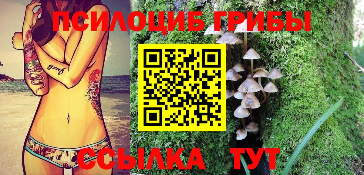 Славгород  Галлюциногенные грибы мухоморы  Вход с VPN  закладка  Псилоцибиновые грибы MAGIC MUSHROOMS 