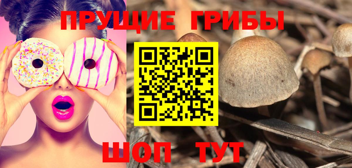 Галлюциногенные грибы Magic Shrooms Славгород